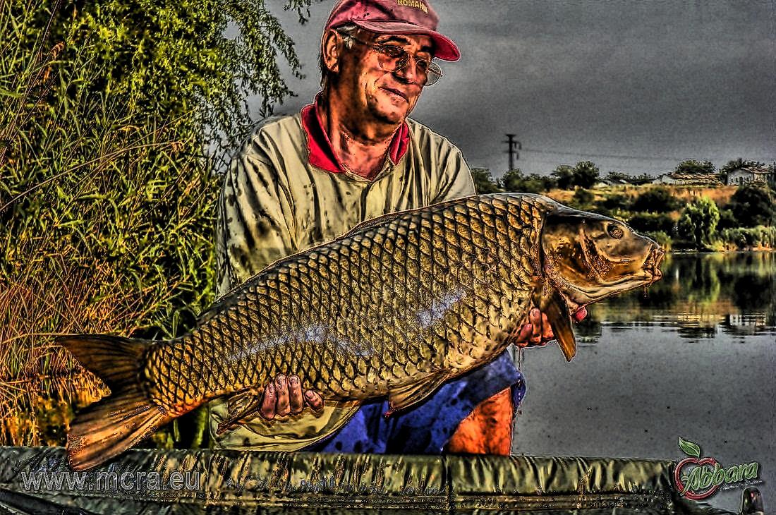 MeetCarp Romanian Awards 2013 - 1000013hdrmode2-2.jpg